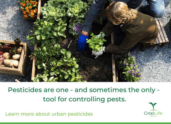 pesticides are one and sometimes the only tool for controlling pests